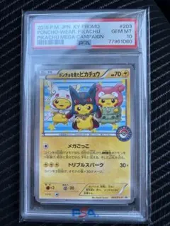 2026年最新】ポンチョを着たピカチュウ XY-Pの人気アイテム - メルカリ