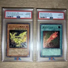 2026年最新】ネフティスの psa10の人気アイテム - メルカリ