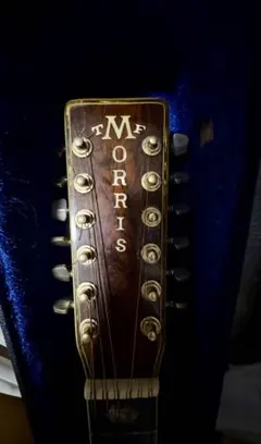2026年最新】MORRIS B 12弦の人気アイテム - メルカリ