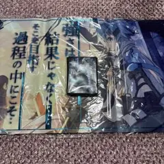 BLEACH スリーブ プレイマット セット 四楓院夜一 砕蜂 ブリーチ