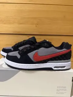 2026年最新】nike sb paul rodriguezの人気アイテム - メルカリ