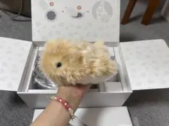 2026年最新】CASIO ぬいぐるみの人気アイテム - メルカリ