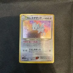 m32658564109_1.jpg?1770827576