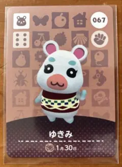 2026年最新】amiiboカード どうぶつの森 ゆきみの人気アイテム - メルカリ