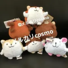 2026年最新】シナダくまの人気アイテム - メルカリ