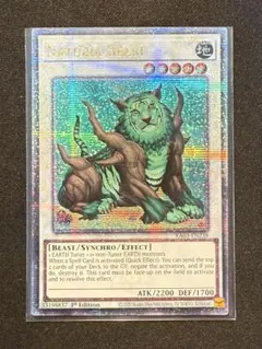 2026年最新】ナチュルビースト 英語の人気アイテム - メルカリ