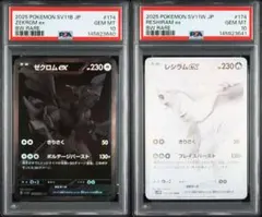 2026年最新】ゼクロム psa10 bwの人気アイテム - メルカリ