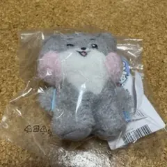 2026年最新】パクゴヌク ぬいぐるみの人気アイテム - メルカリ