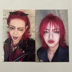 2026年最新】龍宮城 sの人気アイテム - メルカリ