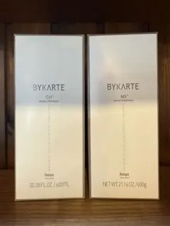 2026年最新】ホーユー バイカルテの人気アイテム - メルカリ