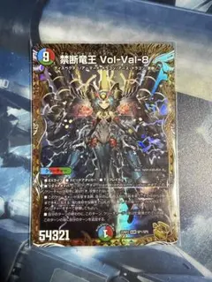 2026年最新】vol-val-8 金の人気アイテム - メルカリ