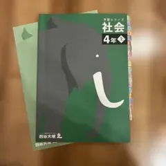 2026年最新】四谷大塚 予習シリーズ 4年の人気アイテム - メルカリ