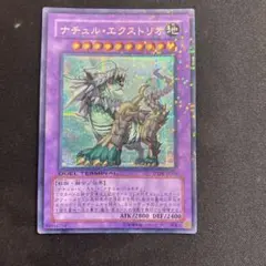 2026年最新】ナチュル・エクストリオの人気アイテム - メルカリ