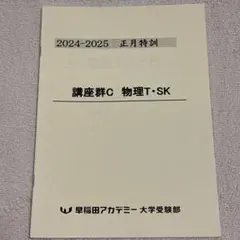 2026年最新】早稲アカ 正月特訓の人気アイテム - メルカリ