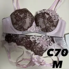 2026年最新】ワコール サルート c70の人気アイテム - メルカリ
