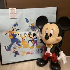 2026年最新】カリフォルニアディズニー ポップコーンの人気アイテム