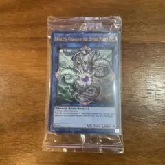 2026年最新】シンポウノアマツオカミの人気アイテム - メルカリ