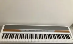 2026年最新】sp-250 korgの人気アイテム - メルカリ