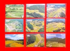 2026年最新】棚田カードの人気アイテム - メルカリ