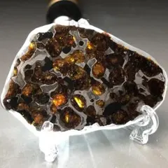 2026年最新】パラサイト隕石の人気アイテム - メルカリ