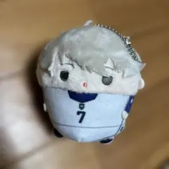 2026年最新】ふわコロりん ブルーロックの人気アイテム - メルカリ