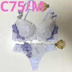 2026年最新】ワコールサルートc75の人気アイテム - メルカリ