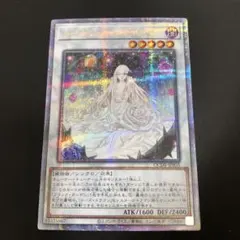 2026年最新】ガーデン•ローズ•メイデンの人気アイテム - メルカリ