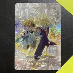 m46685913109_1.jpg?1771204923