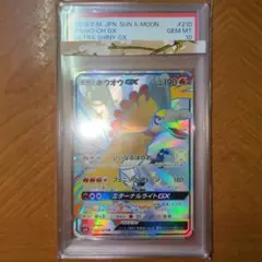 2026年最新】ホウオウ sr psa10の人気アイテム - メルカリ
