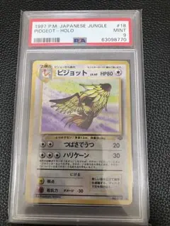 2026年最新】ピジョット psa10の人気アイテム - メルカリ