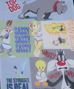 2026年最新】バックスバニー・ロードランナーの人気アイテム - メルカリ