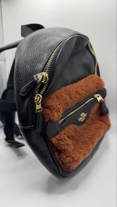 2026年最新】coach ミニリュックの人気アイテム - メルカリ
