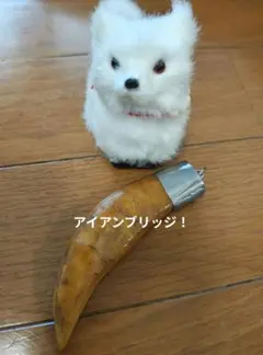 2026年最新】プラクルアン 虎の人気アイテム - メルカリ