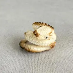 2026年最新】セイウチ 牙の人気アイテム - メルカリ