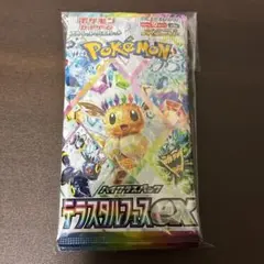 2026年最新】テラスタルフェスex パック サーチ済みの人気アイテム