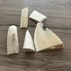 2026年最新】クジラの歯の人気アイテム - メルカリ