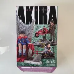 2026年最新】海洋堂 アキラ akiraの人気アイテム - メルカリ