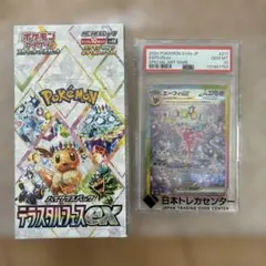 2026年最新】テラスタルフェス 未開封の人気アイテム - メルカリ