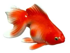 2026年最新】ノリタケ 金魚置物の人気アイテム - メルカリ