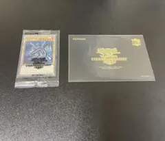 2026年最新】wcs2019 未開封の人気アイテム - メルカリ