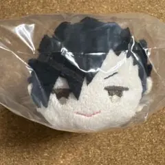 2026年最新】もちマス黒尾鉄朗の人気アイテム - メルカリ