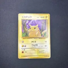 m48914227092_1.jpg?1772749052