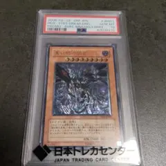 2026年最新】真紅眼の闇竜 レリーフ psa10の人気アイテム - メルカリ