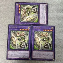 2026年最新】遊戯王 星辰鋏竜シャウラスの人気アイテム - メルカリ