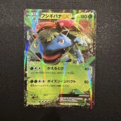 2026年最新】フシギバナex 20thの人気アイテム - メルカリ