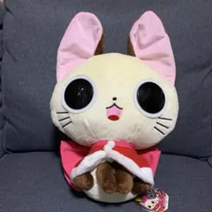 2026年最新】にゃんぱいあぬいぐるみの人気アイテム - メルカリ