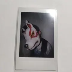 2026年最新】o-menz 狐 チェキの人気アイテム - メルカリ