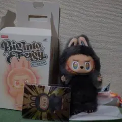 2026年最新】Labubu シークレットの人気アイテム - メルカリ