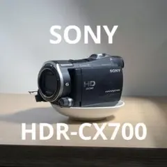 2026年最新】HDR-CX700vの人気アイテム - メルカリ