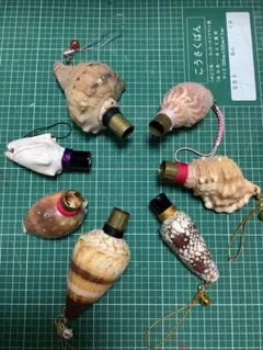 2026年最新】法螺貝の人気アイテム - メルカリ